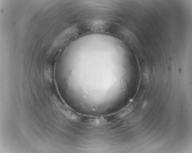 X0000056030663200508221515
