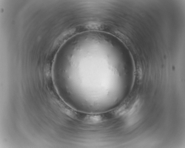 X0000056030665200508221515