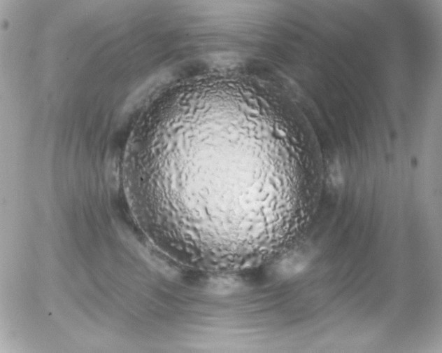 X0000056030666200508221515