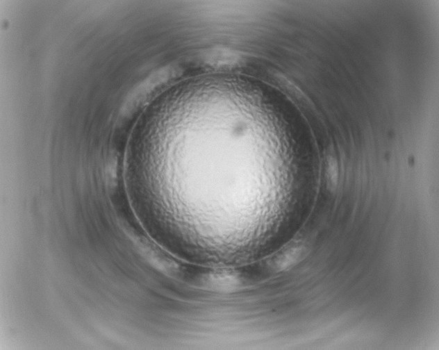 X0000056030668200508221515
