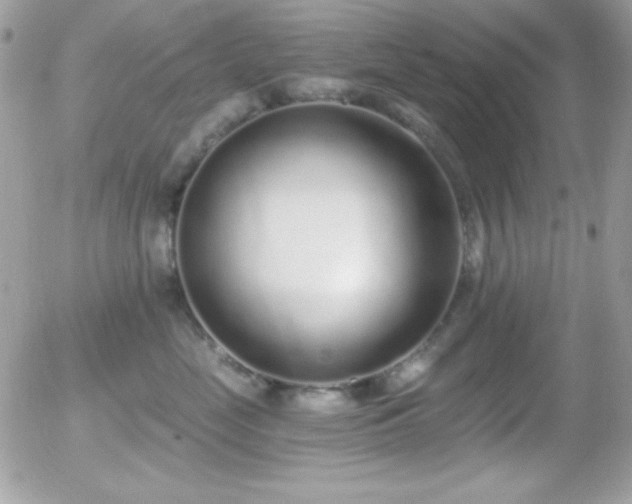 X0000056030669200508221515