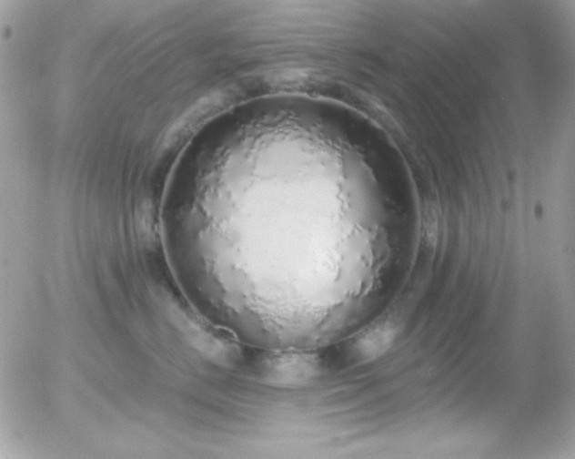X0000056030670200508221515