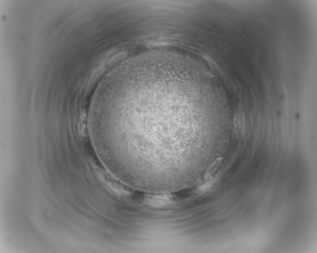 X0000056030671200508221515