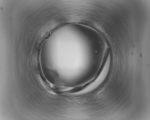 X0000056030681200508221515