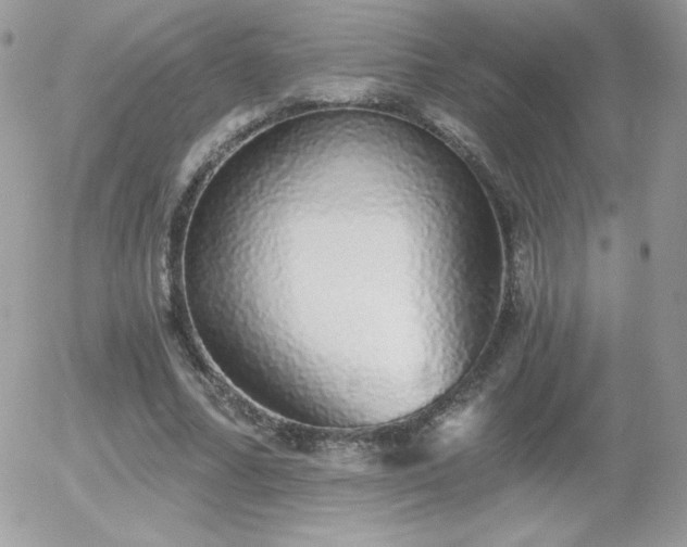 X0000056030682200508221515