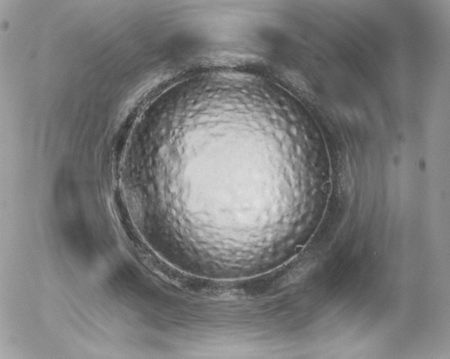 X0000056030683200508221515