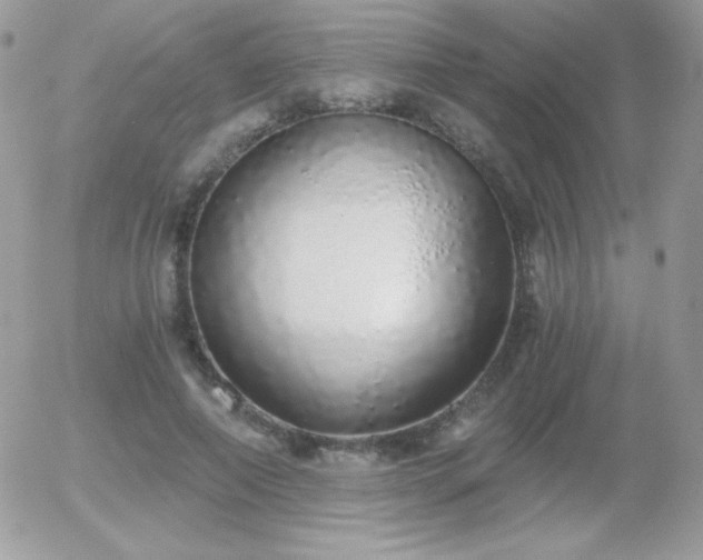 X0000056030690200508221514