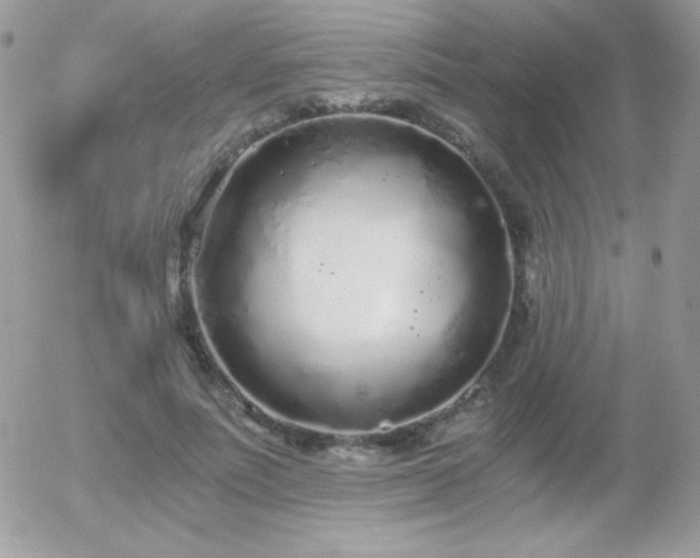 X0000056030691200508221514