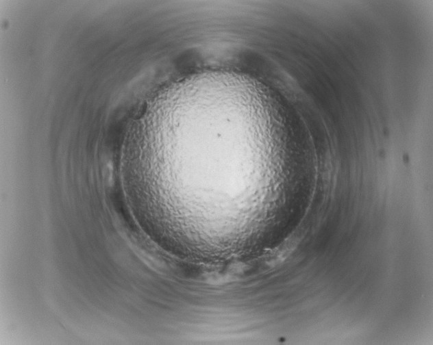 X0000056030703200508221514