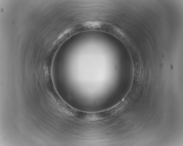X0000056030704200508221514