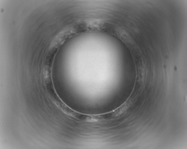 X0000056030706200508221514