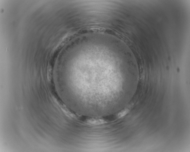 X0000056030712200508221514