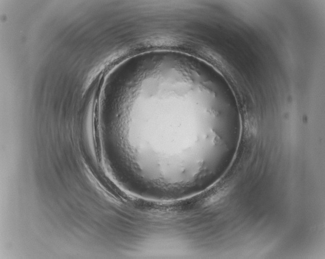X0000056030725200508221513