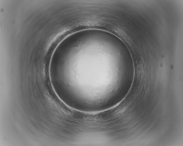 X0000056030727200508221513