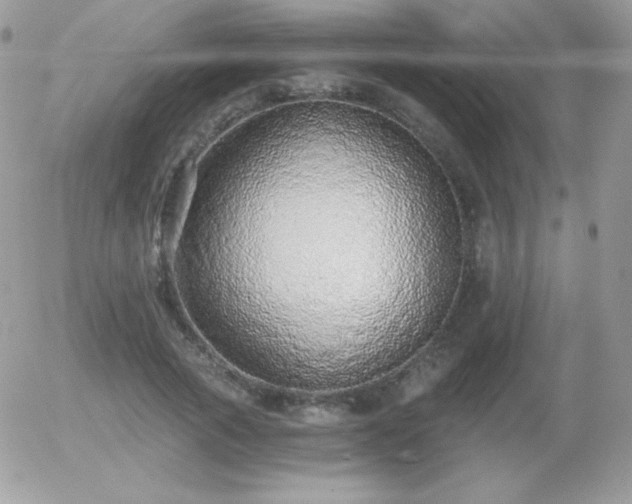 X0000056030737200508221513