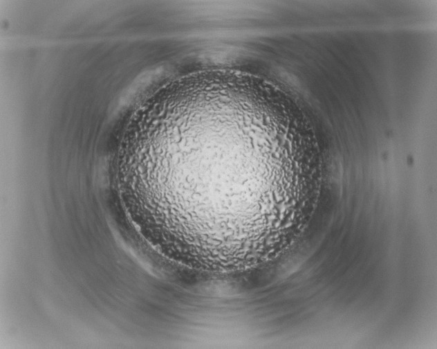 X0000056030738200508221513