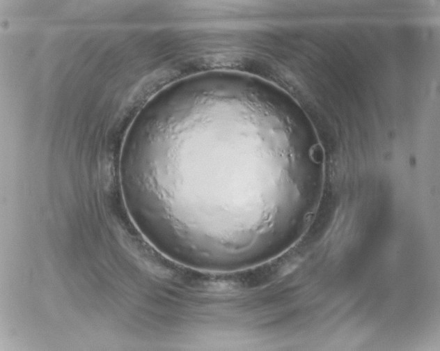 X0000056030741200508221513