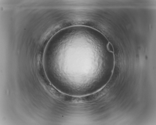 X0000056030742200508221513