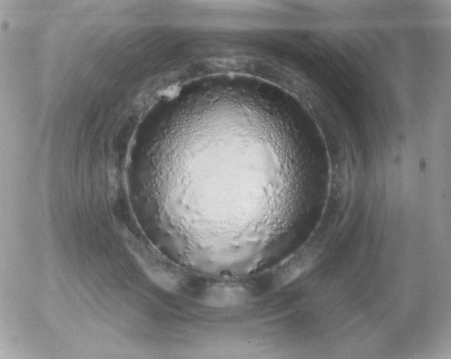 X0000056030749200508221514