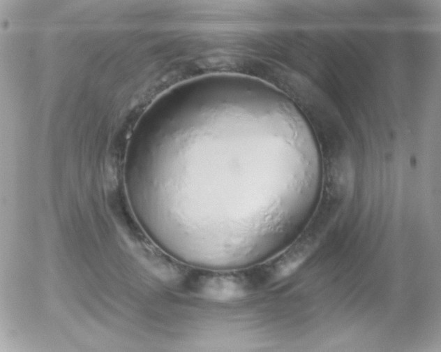 X0000056030751200508221514