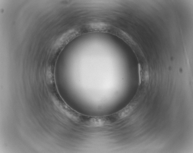 X0000056030764200508221514