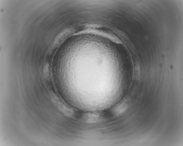 X0000056030765200508221514