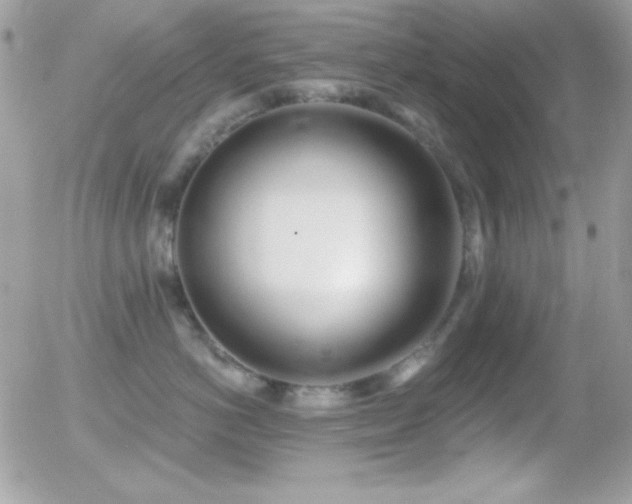 X0000056030766200508221514