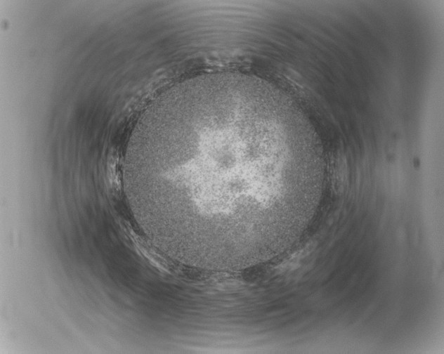 X0000056030770200508221513