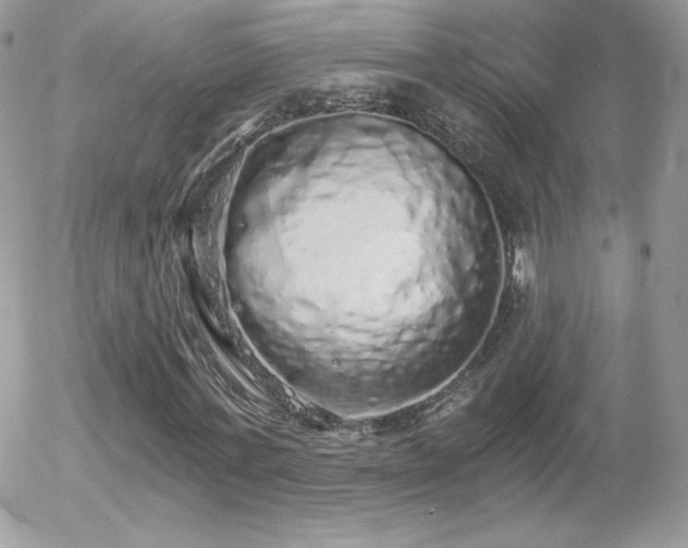 X0000056030771200508221513