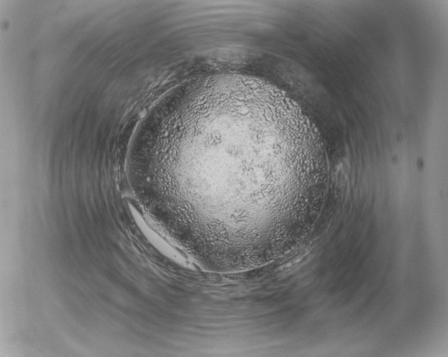 X0000056030772200508221513