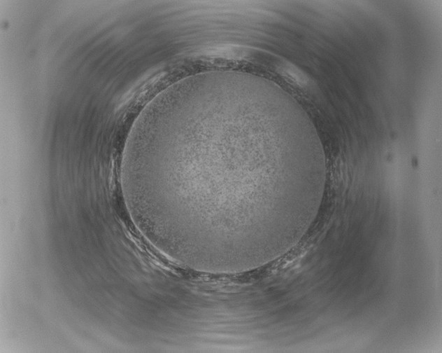 X0000056030774200508221513