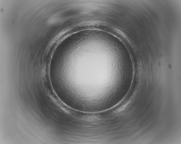 X0000056030778200508221513