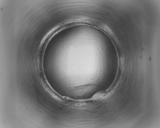 X0000056030780200508221513