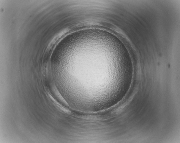 X0000056030785200508221513