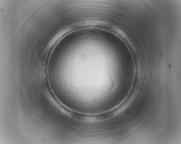 X0000056030794200508221513