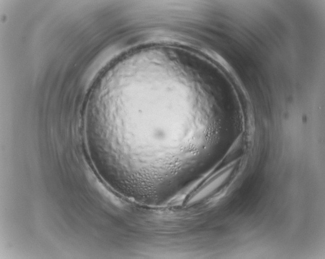 X0000056030799200508221513