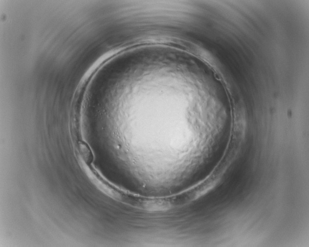 X0000056030803200508221513