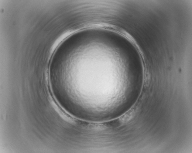 X0000056030811200508221512