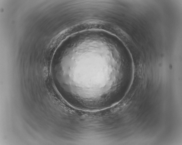 X0000056030821200508221512