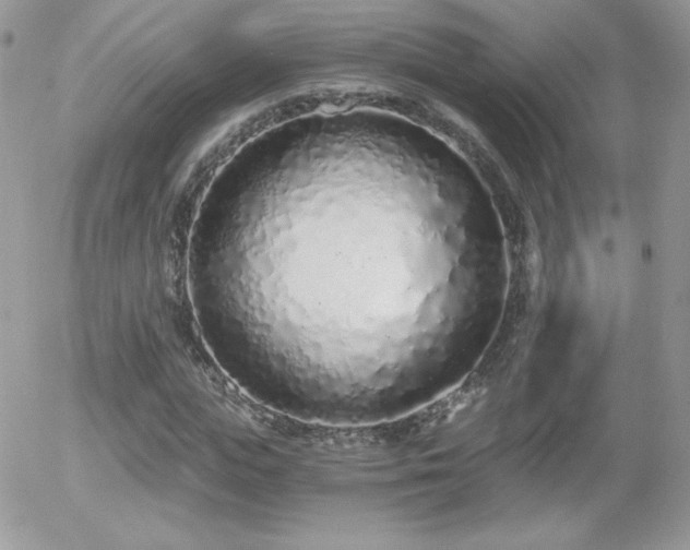 X0000056030823200508221512