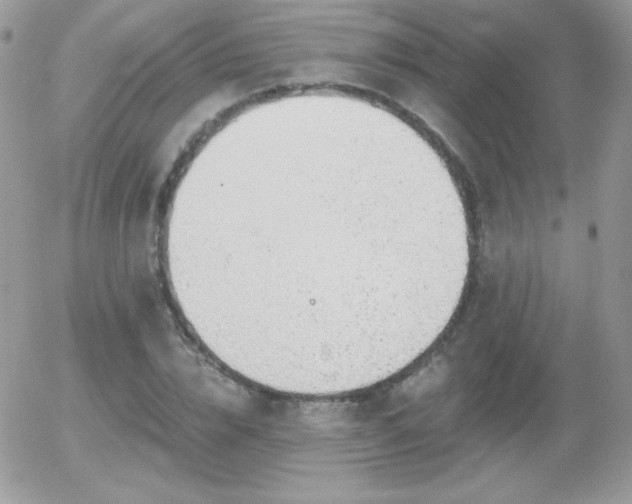 X0000056030832200508221512