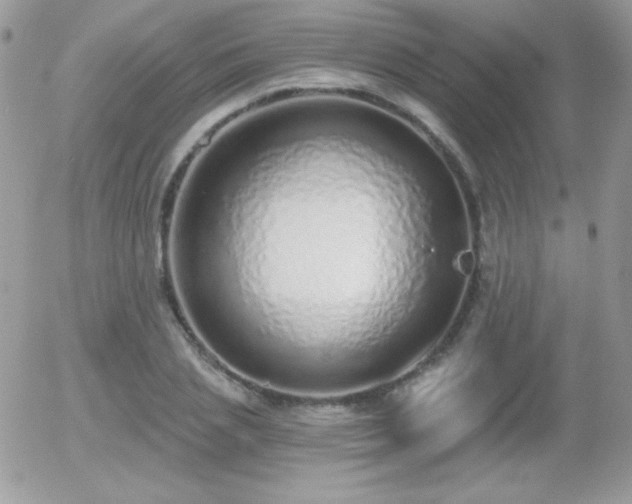 X0000056030837200508221512