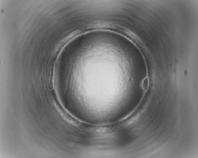 X0000056030841200508221512