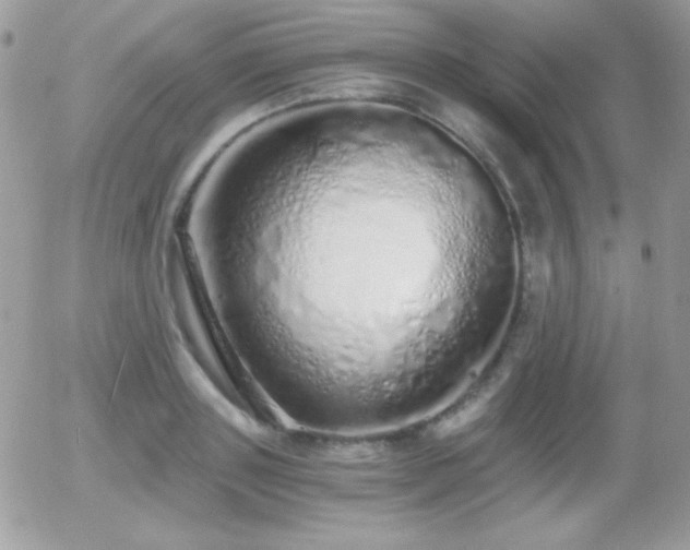 X0000056030843200508221512