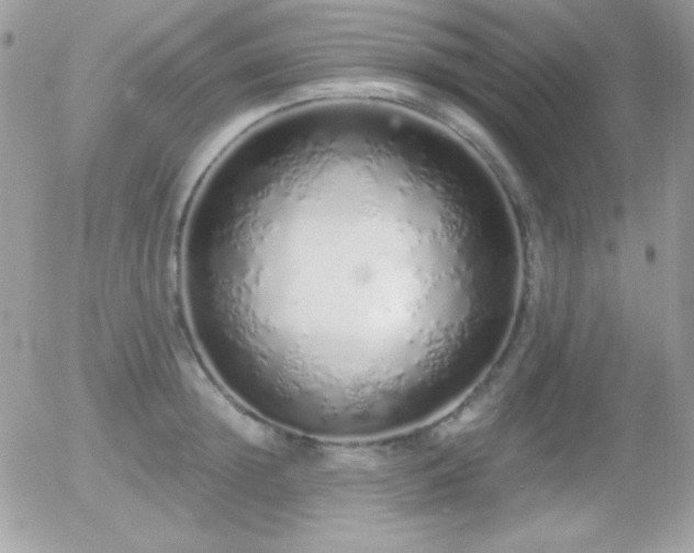 X0000056030852200508221512