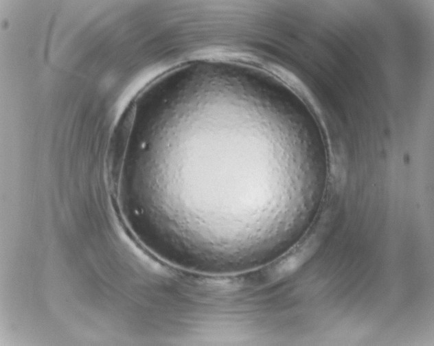 X0000056030855200508221512