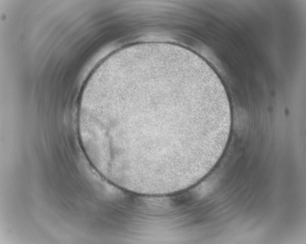X0000056030856200508221512