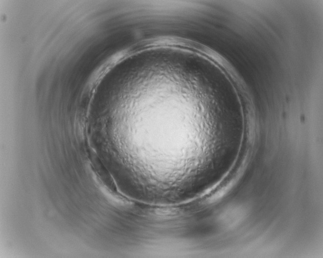 X0000056030857200508221512