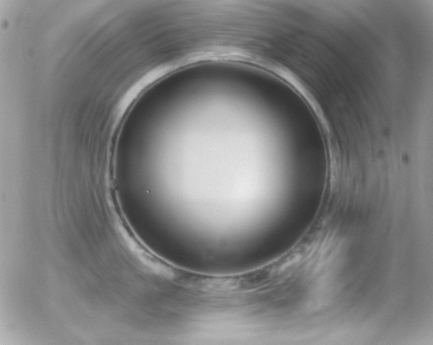 X0000056030861200508221512