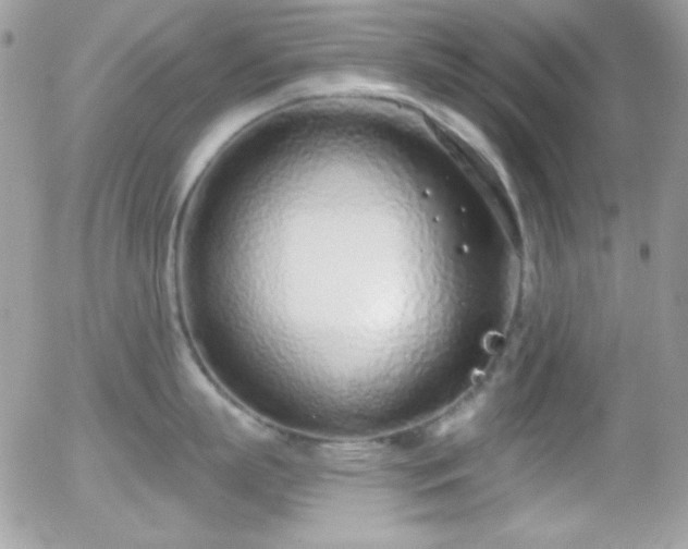 X0000056030863200508221512